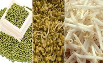 Bài thuốc từ giá đỗ